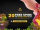 Argo Casino No Deposit 20 Free Spins