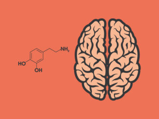 The role of dopamine in gambling