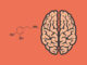 The role of dopamine in gambling