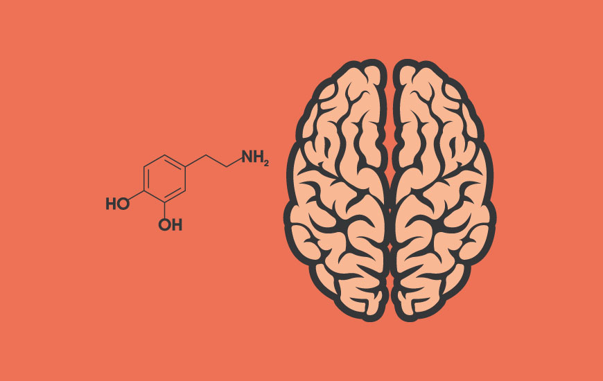 The role of dopamine in gambling