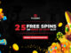 PlayAmo Casino No Deposit Bonus 2021
