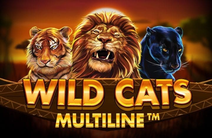 Wild Cats Multiline by Red Tiger