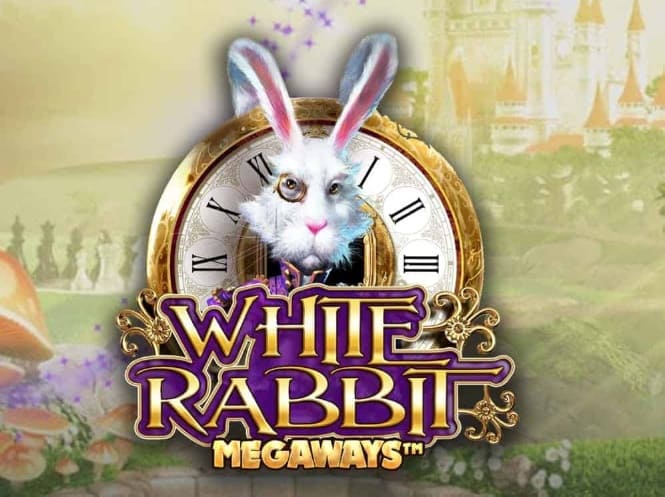 White Rabbit